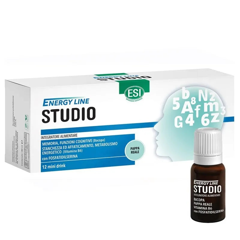 ESI Energy Line Studio 12mini