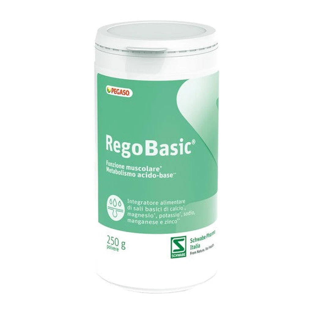 REGOBASIC POLVERE 250gr