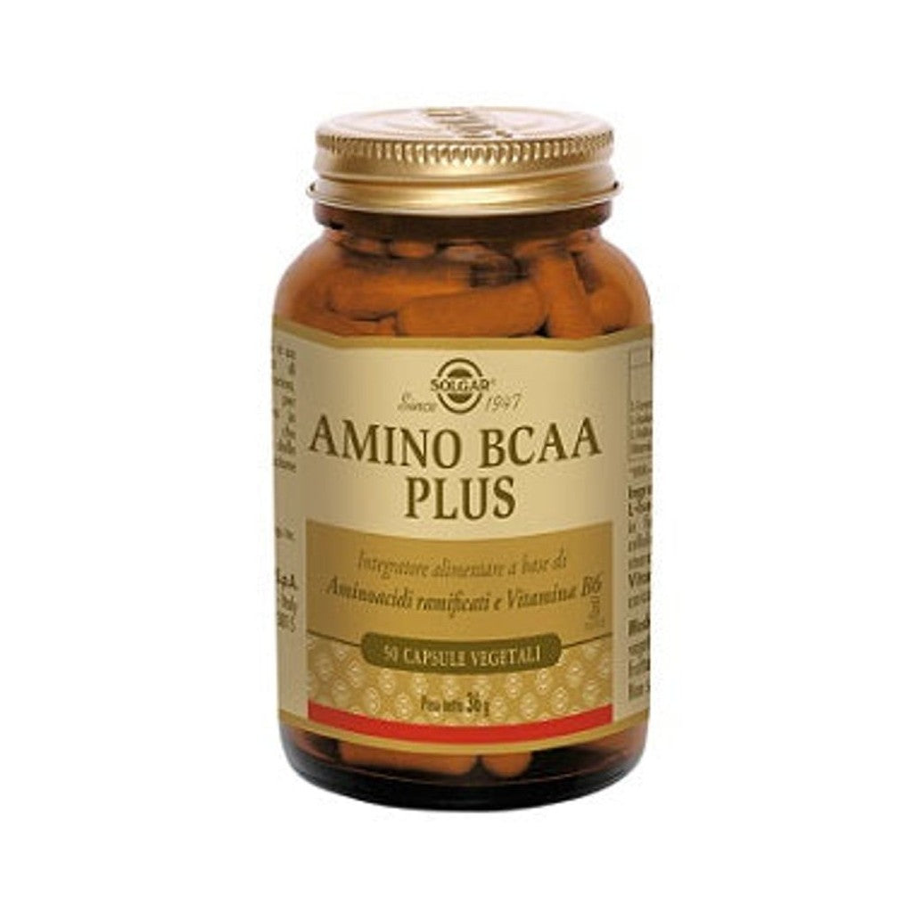 Product image - solgar-amino-bcaa-plus-50capsule_jpg-1024.jpg