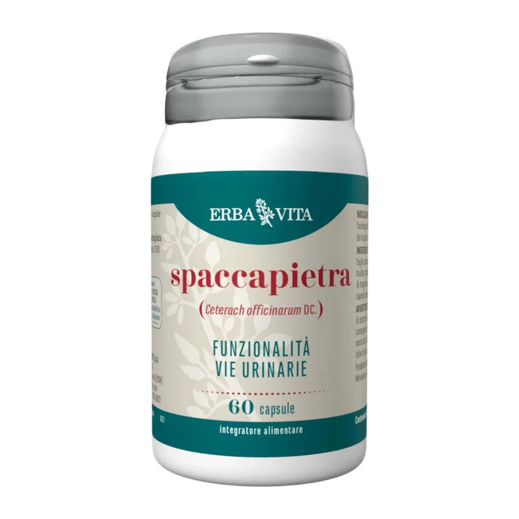 SPACCAPIETRA 60CPS